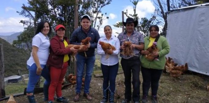 Alcaldía de Bogotá lanza proyecto piloto de “Avicultura Ecológica” que beneficia a más de 80 familias en zona rural